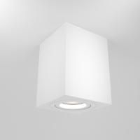 Потолочный светильник Technical C017CL-01W
