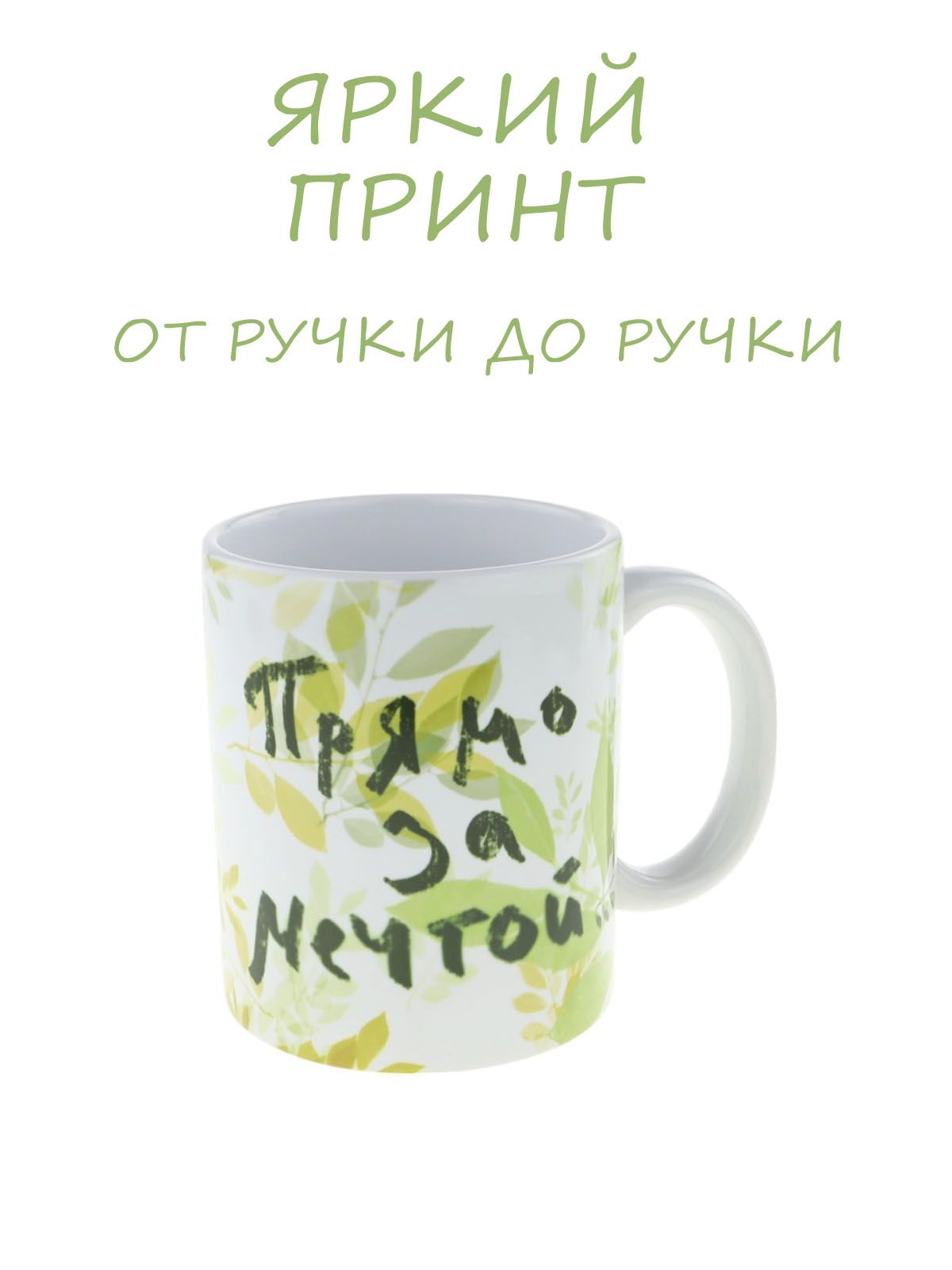 Керамическая кружка с изображением ученого кота "Прямо за мечтой"