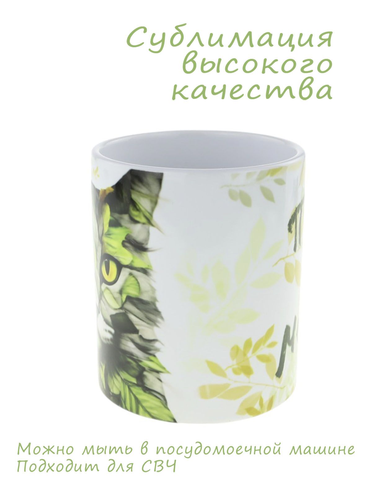 Керамическая кружка с изображением ученого кота "Прямо за мечтой"