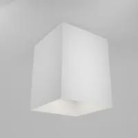 Потолочный светильник Technical C015CL-01W