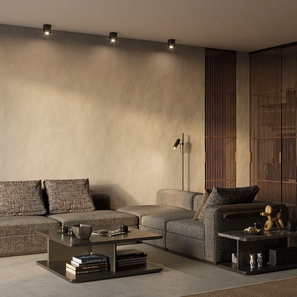 Потолочный светильник Technical C017CL-01B